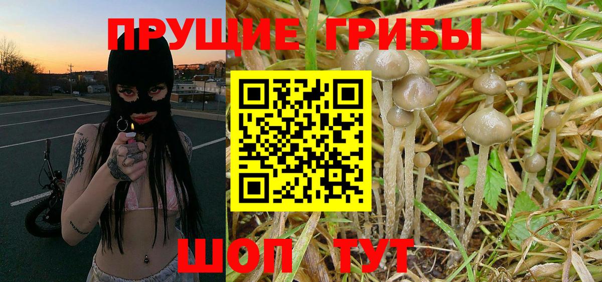 Галлюциногенные грибы Cubensis  Вход с VPN  Ухта  как найти закладки  Псилоцибиновые грибы Magic Shrooms 